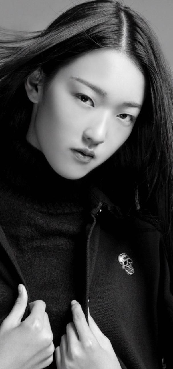Yanle Li
